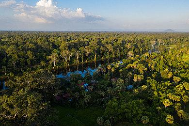 合作恐怖游戏《Haunted Paws》Steam页面上线 支持中文